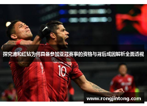 探究浦和红钻为何具备参加亚冠赛事的资格与背后成因解析全面透视